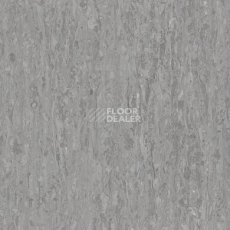 Линолеум Tarkett iq Optima Neutral Grey 0242 фото 1 | FLOORDEALER